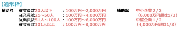 事業再構築6次 補助概要